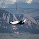 Illustration for article titled Dream Chaser Space Plane Could Take On Air Force Missions Like The X-37B